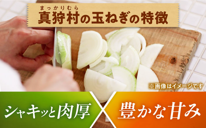 【2026年10月上旬以降順次発送】 玉ねぎ 10kg | 野菜 玉ネギ たまねぎ やさい 北海道 産地直送 | 道の駅 真狩フラワーセンター [BPAM080]