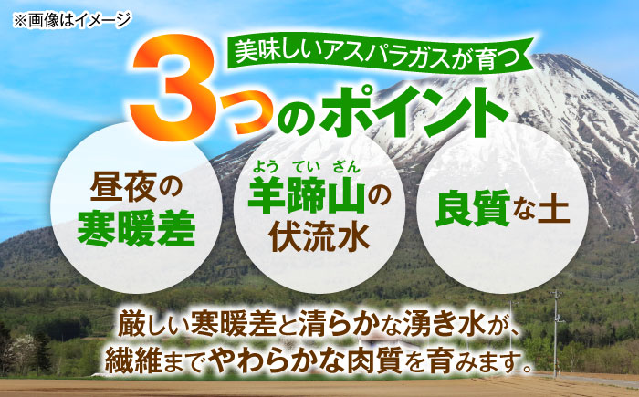 【2026年5月下旬以降順次発送】 グリーンアスパラ 2kg  |  アスパラ アスパラガス 野菜 やさい 北海道 産地直送 |  道の駅 真狩フラワーセンター [BPAM018]