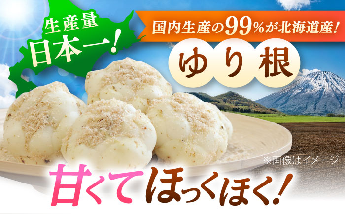 【2026年11月上旬以降順次発送】 ゆり根とリーキ  計3kg  |  ゆり根 リーキ 野菜 やさい 北海道 産地直送 |  道の駅 真狩フラワーセンター [BPAM022]