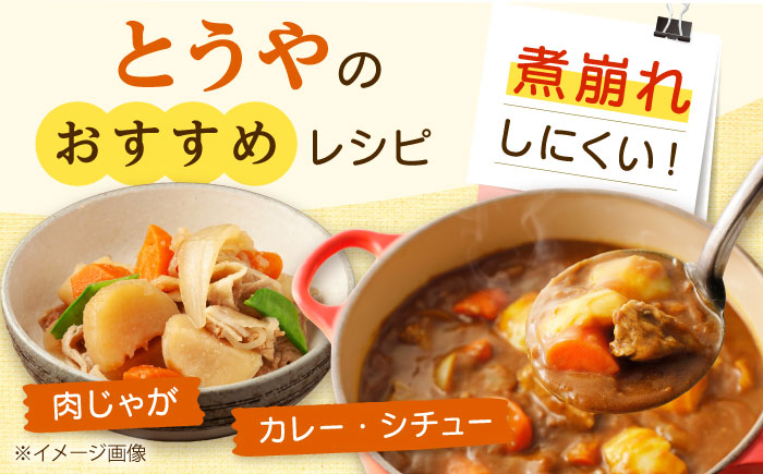 【2026年10月上旬以降順次発送】 じゃがいも とうや 10kg  |  じゃがいも とうや 野菜 やさい 北海道 産地直送 |  道の駅 真狩フラワーセンター [BPAM023]