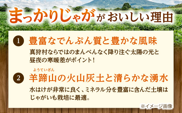 【2026年10月中旬以降順次発送】 じゃがいも キタアカリ （まっかりじゃが）10kg  |  じゃがいも キタアカリ 野菜 やさい 北海道 産地直送 |  道の駅 真狩フラワーセンター [BPAM025]