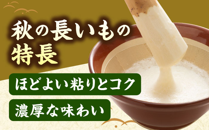 【2026年11月下旬以降順次発送】秋掘り 長いも 5kg  |  長いも 秋野菜 野菜 やさい 北海道 産地直送 |  道の駅 真狩フラワーセンター [BPAM026]