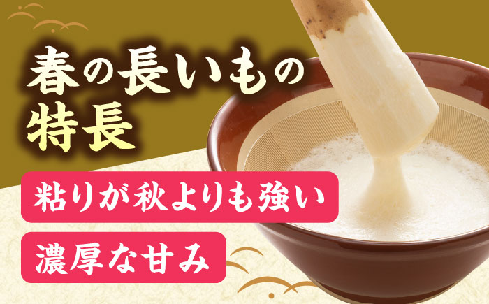 【2026年5月上旬以降順次発送】 春掘り 長いも 5kg  |  長いも 春野菜 野菜 やさい 北海道 産地直送 |  道の駅 真狩フラワーセンター [BPAM027]