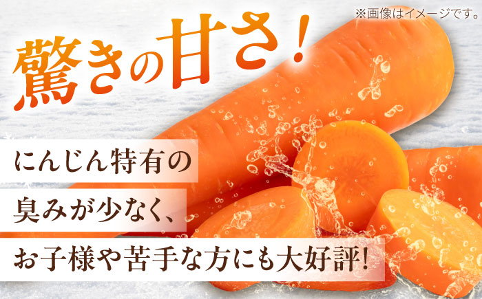 【2026年3月下旬以降順次発送】 雪の下にんじんと越冬じゃがいもセット 計15kg（男爵）| 野菜セット 野菜 セット にんじん じゃがいも  |  道の駅 真狩フラワーセンター [BPAM036]