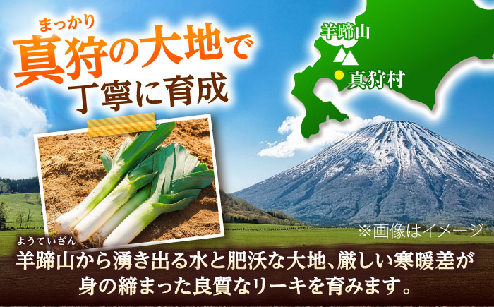 【2026年10月中旬以降順次発送】 リーキ 3kg | 野菜 ネギ ねぎ ポロネギ 西洋ねぎ リーキ | 道の駅 真狩フラワーセンター [BPAM045]