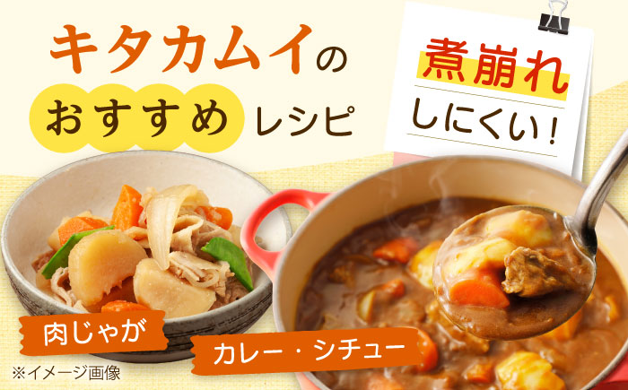 【2026年11月上旬以降順次発送】 じゃがいも キタカムイ（まっかりじゃが）10kg | 野菜 じゃがいも ジャガイモ キタカムイ 北海道 産地直送 | 道の駅 真狩フラワーセンター [BPAM047]