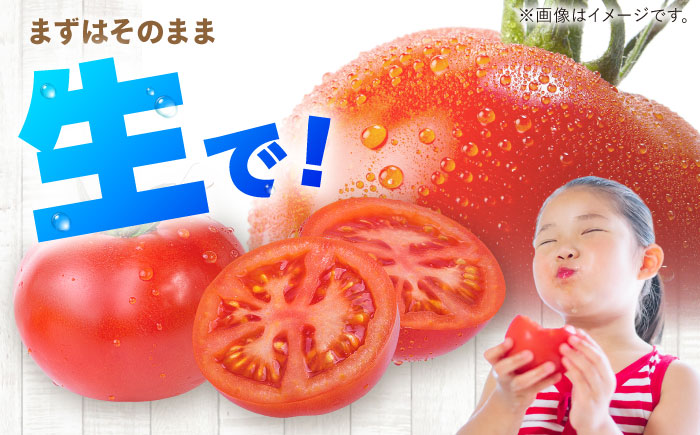 【2026年7月中旬以降順次発送】 トマト 4kg | 野菜 トマト とまと やさい 北海道 産地直送 | 道の駅 真狩フラワーセンター [BPAM078]