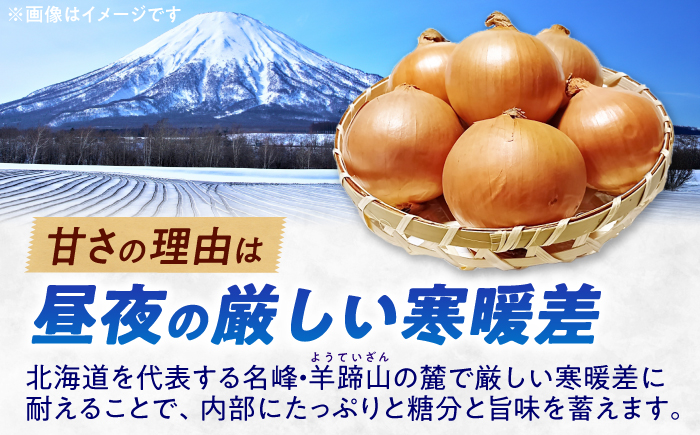 【2026年10月上旬以降順次発送】 玉ねぎ 5kg | 野菜 玉ネギ たまねぎ やさい 北海道 産地直送 | 道の駅 真狩フラワーセンター [BPAM079]