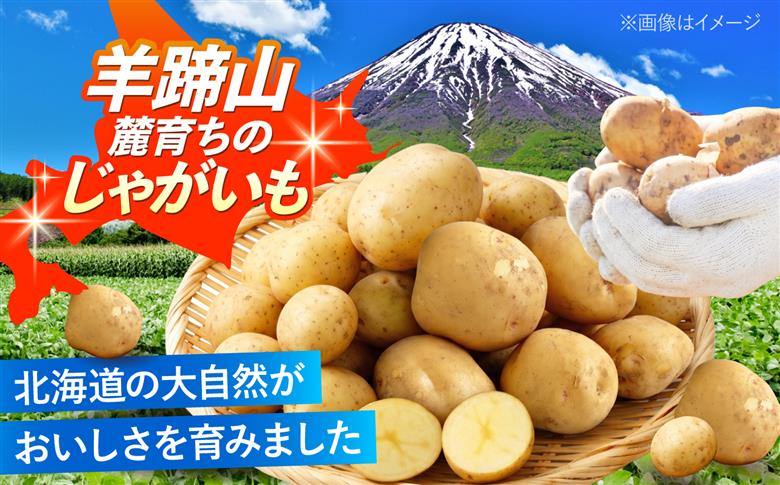 じゃがいも キタアカリ 10kg | じゃがいも ジャガイモ キタアカリ 野菜 季節の野菜 北海道 産地直送 先行予約 | 株式会社Aコープようてい [BPAT005]