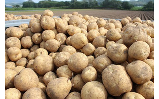 【2026年産】まっかり四季の恵み（ミニ）(アスパラ1kg、とうもろこし5kg、じゃがいも2種×5kg、ゆり根L1kg)【0117701】