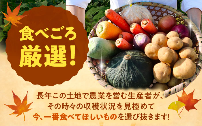 【2026年11月下旬以降発送】 秋の味覚セット（大）（じゃがいも10kg・旬の農産物詰め合わせ） | 野菜セット 野菜 じゃがいも 詰め合わせ 旬の野菜 セット 食べ比べ 北海道 | 道の駅 真狩フラワーセンター [BPAM004]