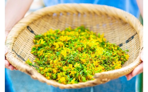 セントジョーンズ・サポートオイル リラックス 65ml | マッサージオイル 保湿 スキンケア オーガニック 美容 | 道の駅 真狩フラワーセンター [BPAM013]