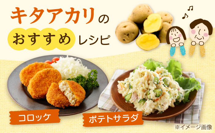 【2026年10月中旬以降順次発送】 じゃがいも キタアカリ（まっかりじゃが）5kg | じゃがいも ジャガイモ キタアカリ 野菜 北海道 産地直送 | 道の駅 真狩フラワーセンター [BPAM015]