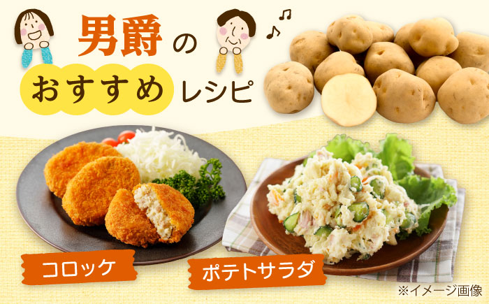 【2026年10月中旬以降順次発送】 じゃがいも 男爵（まっかりじゃが）5kg | じゃがいも ジャガイモ 男爵 野菜 北海道 産地直送 | 道の駅 真狩フラワーセンター [BPAM016]