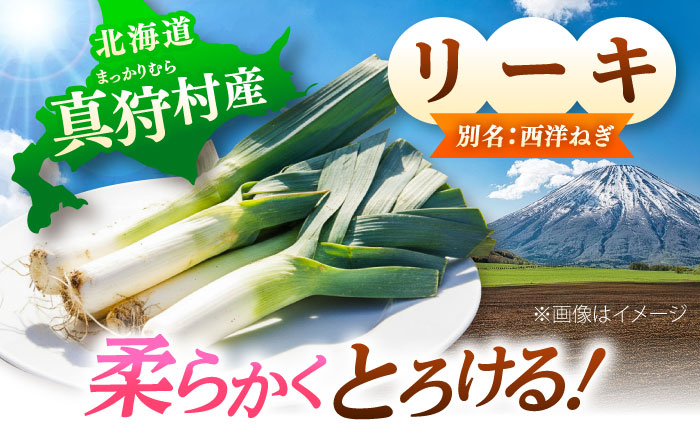 【2026年11月上旬以降順次発送】 ゆり根とリーキ  計3kg  |  ゆり根 リーキ 野菜 やさい 北海道 産地直送 |  道の駅 真狩フラワーセンター [BPAM022]