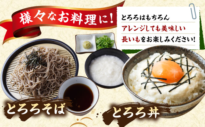 【2026年11月下旬以降順次発送】秋掘り 長いも 5kg  |  長いも 秋野菜 野菜 やさい 北海道 産地直送 |  道の駅 真狩フラワーセンター [BPAM026]