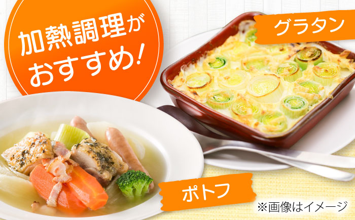 【2026年10月中旬以降順次発送】 リーキ 3kg | 野菜 ネギ ねぎ ポロネギ 西洋ねぎ リーキ | 道の駅 真狩フラワーセンター [BPAM045]