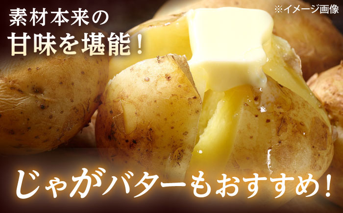 【2026年11月上旬以降順次発送】 じゃがいも キタカムイ（まっかりじゃが）5kg | 野菜 じゃがいも ジャガイモ キタカムイ 北海道 産地直送 | 道の駅 真狩フラワーセンター [BPAM048]