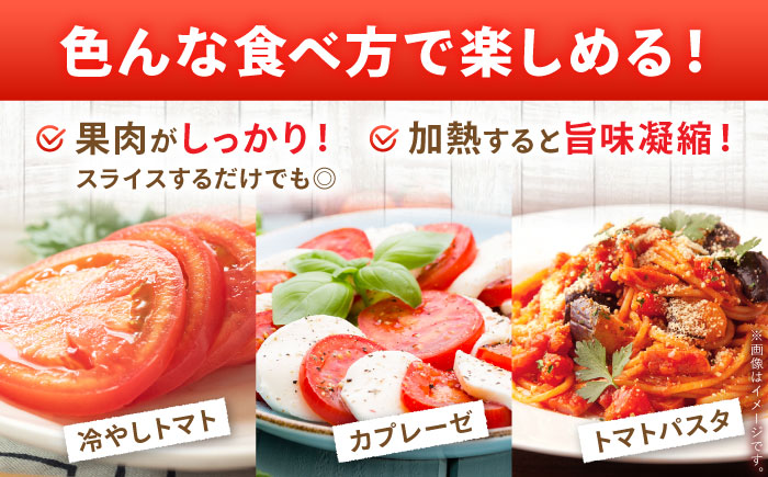 【2026年7月中旬以降順次発送】 トマト 4kg | 野菜 トマト とまと やさい 北海道 産地直送 | 道の駅 真狩フラワーセンター [BPAM078]