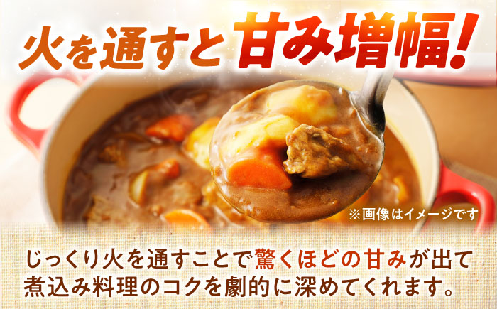 【2026年10月上旬以降順次発送】 玉ねぎ 10kg | 野菜 玉ネギ たまねぎ やさい 北海道 産地直送 | 道の駅 真狩フラワーセンター [BPAM080]