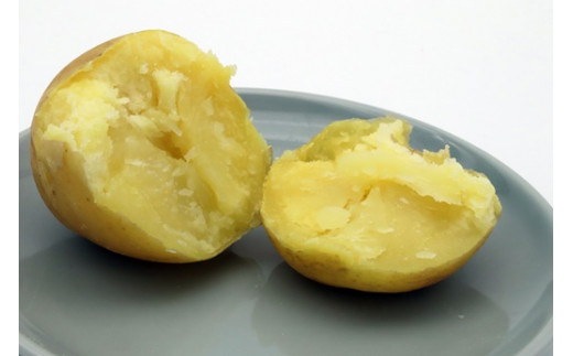 【新じゃが】太陽の光をたっぷりと浴びた北海道真狩産じゃがいも・とうや 10kg【2025年産】【0114701】