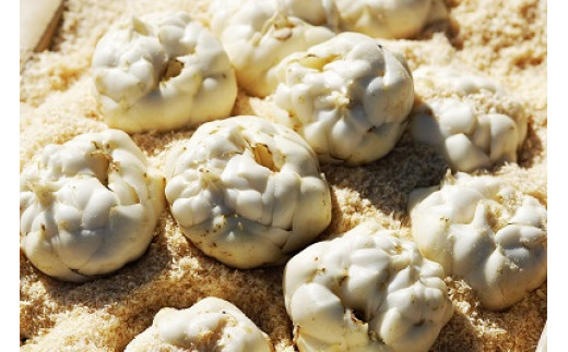 【2026年産】まっかり四季の恵み（ミニ）(アスパラ1kg、とうもろこし5kg、じゃがいも2種×5kg、ゆり根L1kg)【0117701】