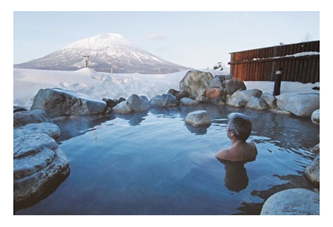 【北海道真狩村】ユリ園コテージ＆マッカリーナ ペアディナー券【04105】