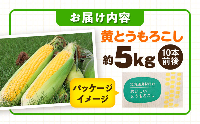 【2026年8月下旬以降順次発送】 とうもろこし（黄）5kg  |  とうもろこし とうきび トウモロコシ コーン 野菜 やさい 北海道 産地直送 |  道の駅 真狩フラワーセンター [BPAM020]
