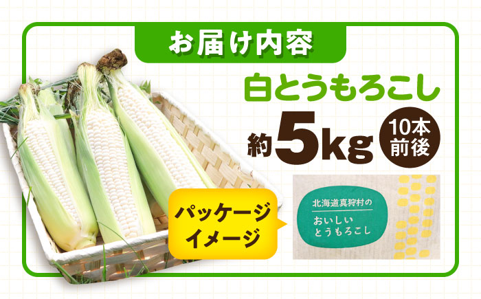 【2026年8月下旬以降順次発送】 とうもろこし 白（白）5kg  |  とうもろこし とうきび トウモロコシ コーン 野菜 やさい 北海道 産地直送 |  道の駅 真狩フラワーセンター [BPAM021]