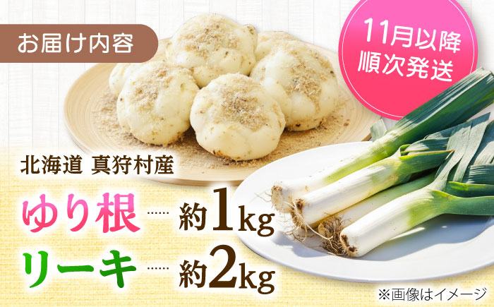 【2026年11月上旬以降順次発送】 ゆり根とリーキ  計3kg  |  ゆり根 リーキ 野菜 やさい 北海道 産地直送 |  道の駅 真狩フラワーセンター [BPAM022]