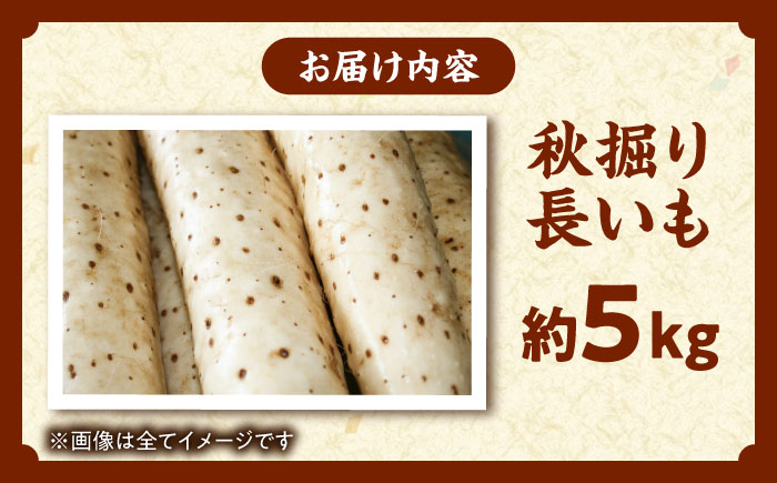 【2026年11月下旬以降順次発送】秋掘り 長いも 5kg  |  長いも 秋野菜 野菜 やさい 北海道 産地直送 |  道の駅 真狩フラワーセンター [BPAM026]