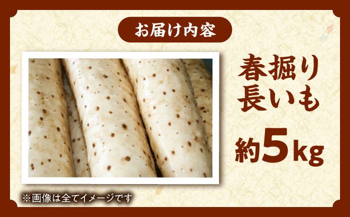 【2026年5月上旬以降順次発送】 春掘り 長いも 5kg  |  長いも 春野菜 野菜 やさい 北海道 産地直送 |  道の駅 真狩フラワーセンター [BPAM027]