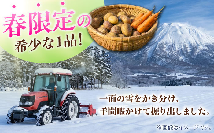 【2026年3月下旬以降順次発送】 雪の下にんじんと越冬じゃがいもセット 計20kg（男爵）|  野菜セット 野菜 セット にんじん じゃがいも  |  道の駅 真狩フラワーセンター [BPAM032]