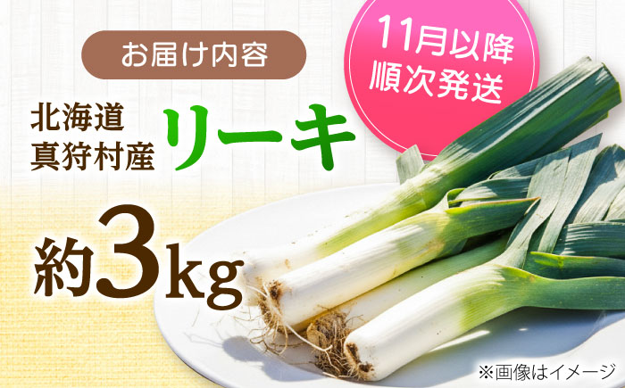 【2026年10月中旬以降順次発送】 リーキ 3kg | 野菜 ネギ ねぎ ポロネギ 西洋ねぎ リーキ | 道の駅 真狩フラワーセンター [BPAM045]