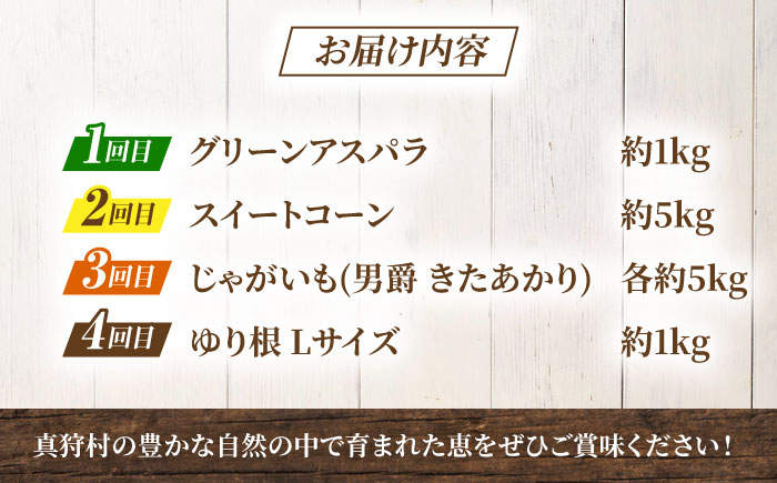 【2026年5月中旬以降順次発送】 【全4回定期便】 まっかり四季の恵みセット ミニセット (アスパラ・とうもろこし・じゃがいも・ゆり根）| 野菜 野菜セット アスパラガス とうもろこし コーン ゆり根 じゃがいも 北海道 | 道の駅 真狩フラワーセンター [BPAM046]
