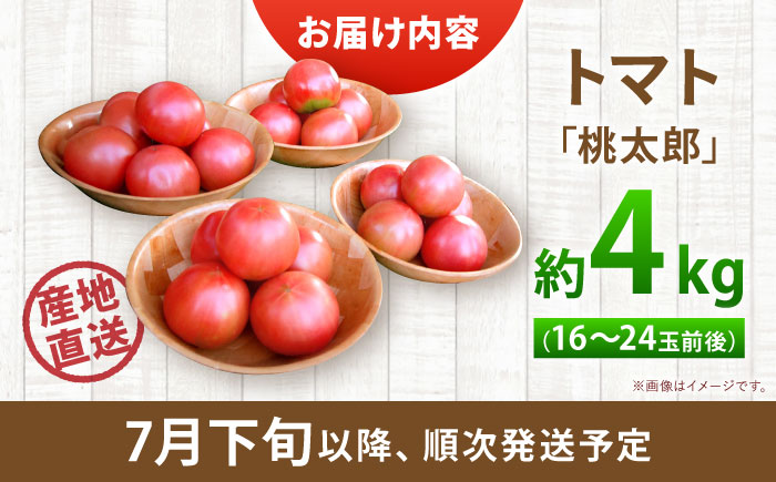 【2026年7月中旬以降順次発送】 トマト 4kg | 野菜 トマト とまと やさい 北海道 産地直送 | 道の駅 真狩フラワーセンター [BPAM078]