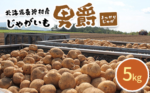 甘くてホクホク！太陽の光をたっぷりと浴びた　北海道真狩村産じゃがいも　男爵「まっかりじゃが」5kg【2025年産】【0113501】