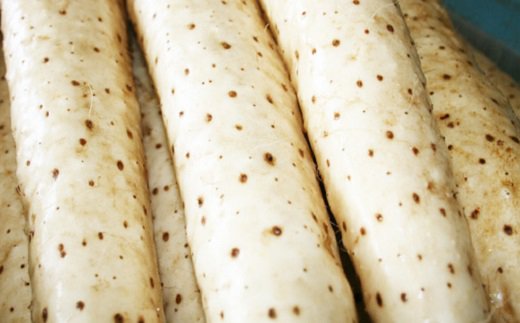 北海道真狩村産　長いも(秋掘り)【0114301】