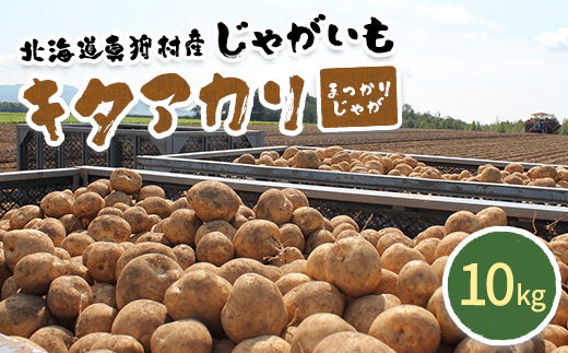甘くてホクホク！太陽の光をたっぷりと浴びた　北海道真狩村産じゃがいも　キタアカリ「まっかりじゃが」10kg【2025年産】【0114501】