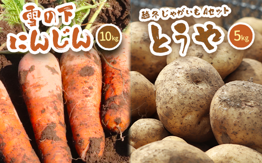 北海道真狩村産　雪の下にんじん約10kgと越冬じゃがいも約5kg Aセット(とうや)  【2026年春お届け分】【0115401】