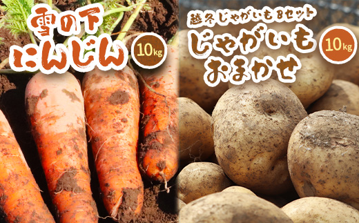 北海道真狩村産　雪の下にんじん約10kgと越冬じゃがいも約10Kg Bセット (じゃがいも種類おまかせ)  【2026年春お届け分】【0115501】