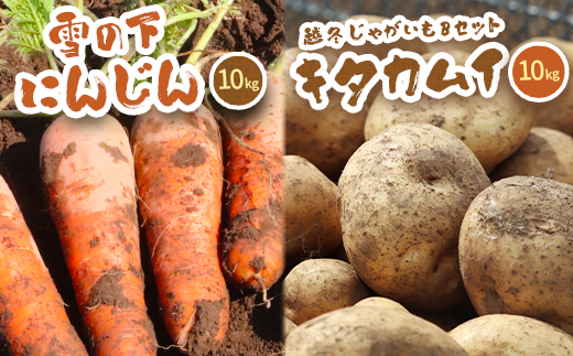 北海道真狩村産　雪の下にんじん約10kgと越冬じゃがいも約10Kg Bセット (キタカムイ) 【2026年春お届け分】【0115701】