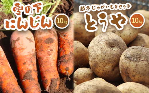 北海道真狩村産　雪の下にんじん約10kgと越冬じゃがいも約10Kg Bセット (とうや) 【2026年春お届け分】【0115801】
