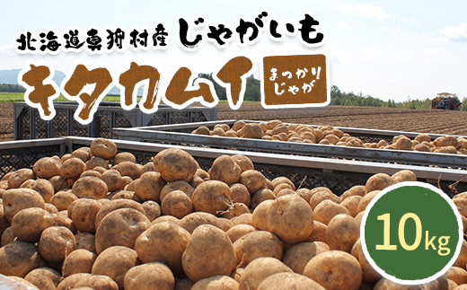甘くてホクホク！太陽の光をたっぷりと浴びた　北海道真狩村産じゃがいも　キタカムイ「まっかりじゃが」10kg【2025年産】【0116601】