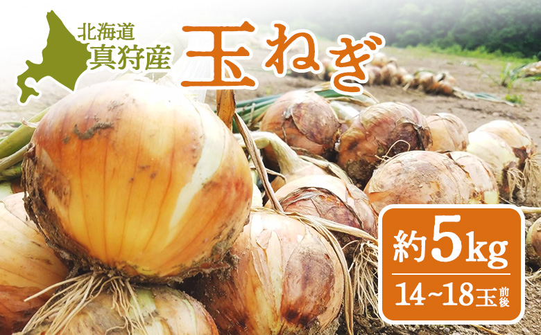 北海道真狩村産　玉ねぎ（約5kg入り14～18玉前後）【01212】