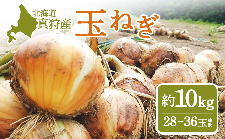 北海道真狩村産　玉ねぎ（約10kg入り28～36玉前後）【01213】