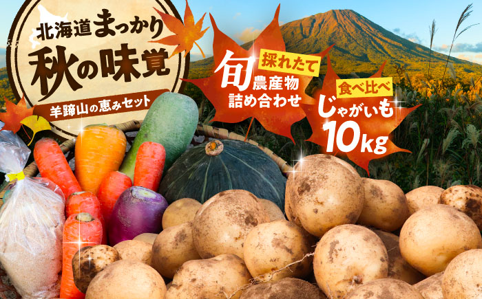 【2026年11月下旬以降発送】 秋の味覚セット（大）（じゃがいも10kg・旬の農産物詰め合わせ） | 野菜セット 野菜 じゃがいも 詰め合わせ 旬の野菜 セット 食べ比べ 北海道 | 道の駅 真狩フラワーセンター [BPAM004]