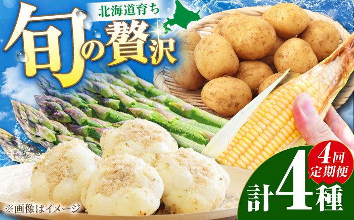 【2026年5月中旬以降順次発送】 【全4回定期便】 まっかり四季の恵みセット | 野菜セット 野菜 詰合せ アスパラ とうもろこし じゃがいも ゆり根 | 道の駅 真狩フラワーセンター [BPAM007]