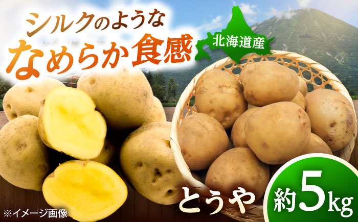 【2026年10月上旬以降順次発送】じゃがいも とうや 5kg | じゃがいも とうや 野菜 やさい 北海道 産地直送 | 道の駅 真狩フラワーセンター [BPAM017]