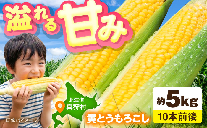 【2026年8月下旬以降順次発送】 とうもろこし（黄）5kg  |  とうもろこし とうきび トウモロコシ コーン 野菜 やさい 北海道 産地直送 |  道の駅 真狩フラワーセンター [BPAM020]